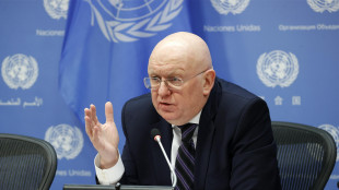 Ambasciatore russo all'Onu, irrealistica tregua in Ucraina