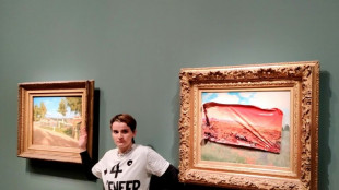 Ativista presa por colar cartaz sobre pintura de Monet em Paris