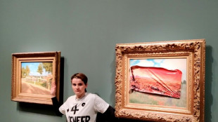 Detenida una activista por pegar un cartel sobre un cuadro de Monet en Par&iacute;s