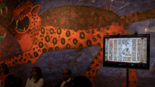 M&eacute;xico recupera c&oacute;dices de m&aacute;s 400 a&ntilde;os de antig&uuml;edad