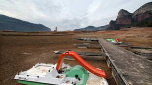 Catalu&ntilde;a mira al cielo desesperada tras tres a&ntilde;os de sequ&iacute;a