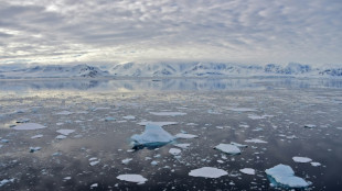 L'Antarctique &agrave; plus de 30&deg;C au-dessus de la normale cette semaine