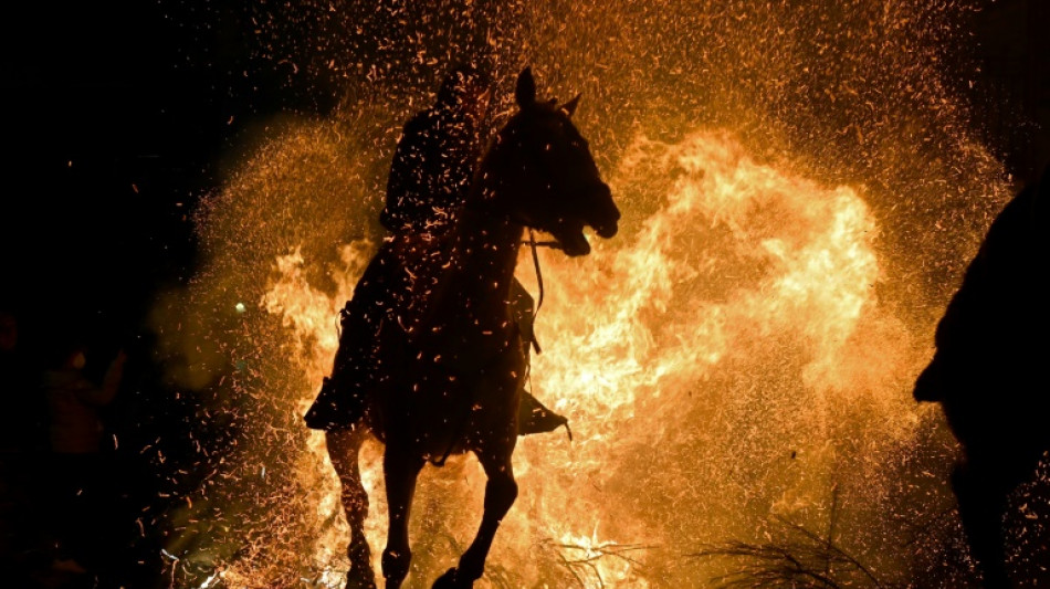 In ancient rite, Spanish horses brave fire to fight virus
