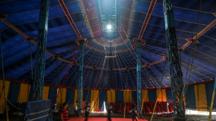 Artistin stürzt bei Zirkusvorstellung in Rastatt von Hochseil
