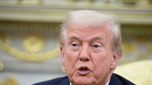 Verteidigungsausgaben: Trump bringt Nato-Ausschluss Spaniens ins Spiel