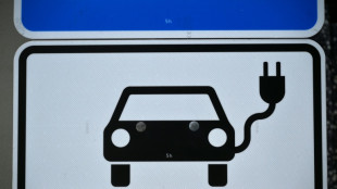 Automobile: Paris et Berlin officialisent un accord qui ralentit le passage au tout-&eacute;lectrique