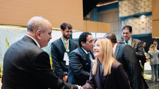 Meloni, l'Italia invitata al Board per Gaza come osservatore e ci saremo