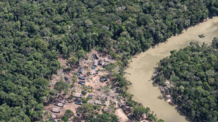 Armee in Venezuela vertreibt 11.500 illegale Schürfer aus Nationalpark 