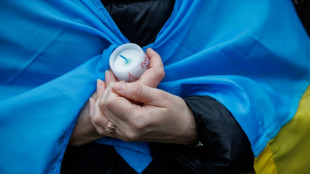 Rund die H&auml;lfte der Ukrainerinnen und Ukrainer in Deutschland erwerbst&auml;tig