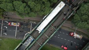Collision entre deux trains à Buenos Aires, une trentaine de blessés