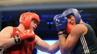 World Boxing kann für DBV "mögliche Alternative sein"