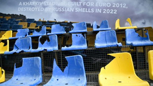 Ukrainians to honour sporting dead by building country they 'died for': minister
