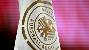 Fans befürworten DFB-Doppelspitze mit Frau und Mann