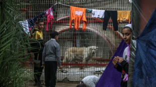 Los animales tambi&eacute;n pasan hambre en el zool&oacute;gico de la asediada Gaza