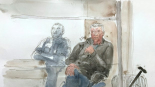 Proc&egrave;s de Mazan: "J'ai dit non &agrave; Pelicot car il s'agissait d'un viol", affirme un t&eacute;moin