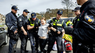 Schwedische Klimaaktivistin Thunberg bei Protest in Den Haag abgeführt