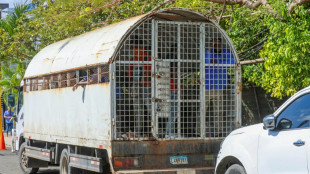 Dominican Republic reports sharp rise in Haitian migrant deportations