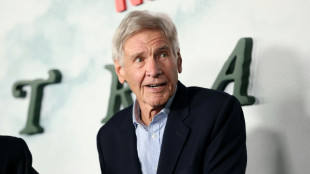 Harrison Ford recibir&aacute; premio a la trayectoria del Sindicato de actores de Hoollywood
