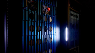 Une ann&eacute;e pour c&eacute;l&eacute;brer la physique quantique