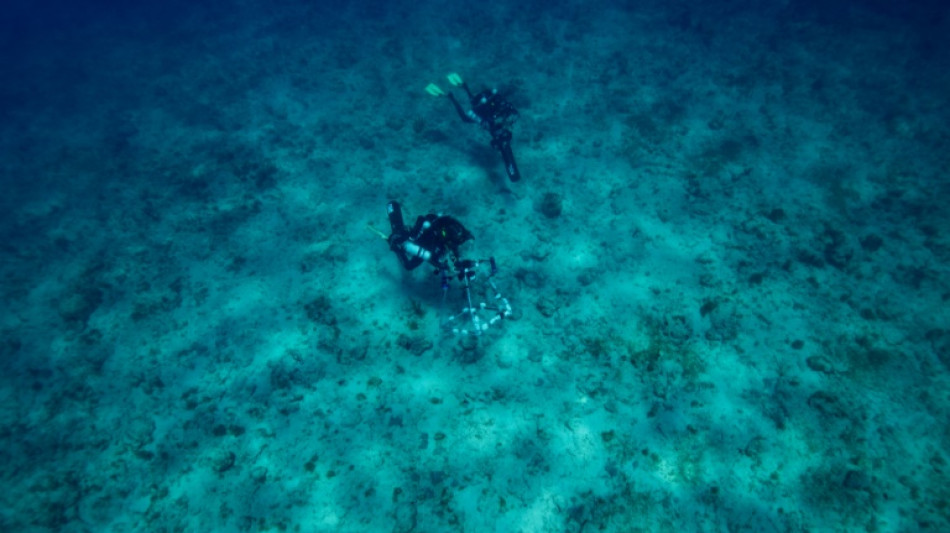 En Guadeloupe, l'exp&eacute;dition Under the Pole explore la vie des grandes profondeurs