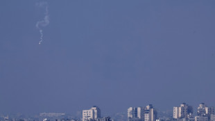 Gaza: des frappes isra&eacute;liennes sur un camp de r&eacute;fugi&eacute;s font plus de 80 morts, selon le Hamas