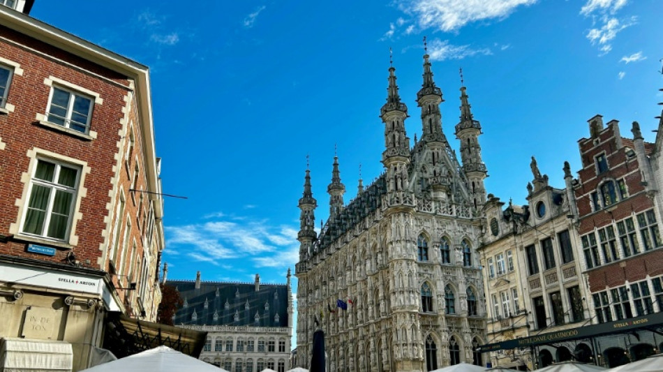 Belgisches L&ouml;wen wird eine von drei europ&auml;ischen Kulturhauptst&auml;dten 2030