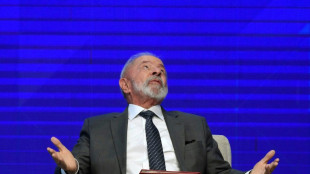 BRICS expresar&aacute;n en su cumbre de Rio "seria preocupaci&oacute;n" por aranceles "unilaterales"