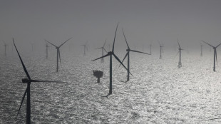Scholz und Habeck bei Windkraft-Gipfel in Ostende