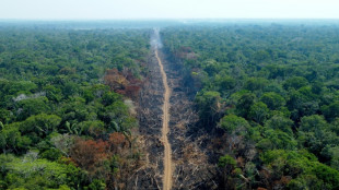 La deforestaci&oacute;n en la Amazon&iacute;a brasile&ntilde;a ya bati&oacute; r&eacute;cord para febrero