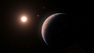 Un tercer exoplaneta descubierto en órbita de la estrella mas cercana