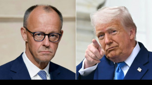 Germany's Merz heads for delicate talks with Trump