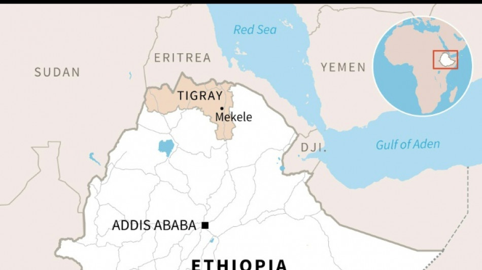 10 killed in twin air strikes on Ethiopia's Tigray: hospital