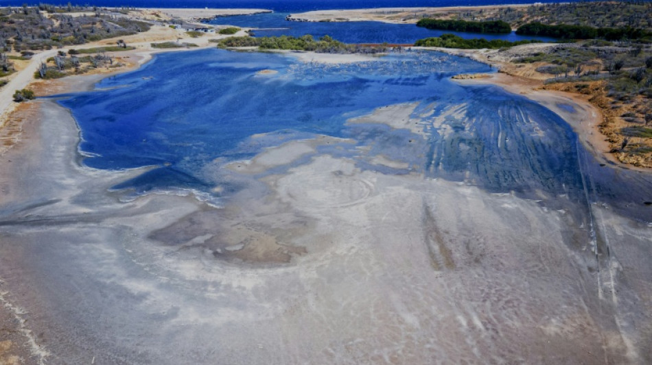 Erfolgreiche Klimaklage: Niederlande m&uuml;ssen Karibikinsel vor Klimwandel-Folgen sch&uuml;tzen