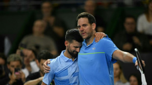 Tennis: face &agrave; son ami Novak Djokovic, les adieux &eacute;mouvants de Juan Martin Del Potro