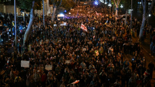 Tausende protestieren in Georgien gegen Gesetz zu "ausländischer Einflussnahme"