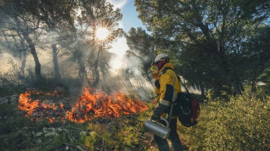 Dans l'Aude, les pompiers manient le feu l'hiver pour limiter les incendies en &eacute;t&eacute;