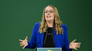 Grünen-Fraktionschefin mit neuem Vorstoß für Industriestrompreis