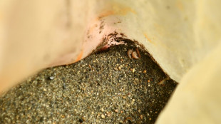 &Agrave; la recherche de la stygofaune, ces esp&egrave;ces souterraines t&eacute;moins de la qualit&eacute; des eaux