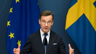 Schwedisches Parlament stimmt über Nato-Beitritt ab