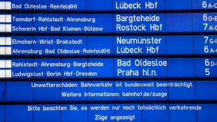 Bahnverkehr in Deutschland bleibt nach Sturm weiter stark beeinträchtigt