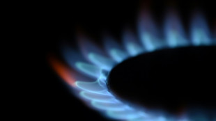 Netzagentur: Deutschland bei Gasversorgung in besserer Situation als vor einem Jahr