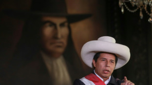 Amtsenthebungsverfahren gegen Perus Präsident Castillo erneut gescheitert