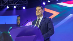 Cape Town mayor elected to lead S.Africa's second-largest party