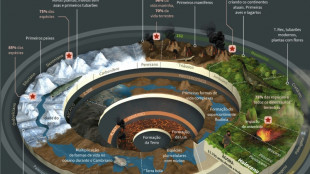 Cientistas revelam sítio geológico para simbolizar o Antropoceno