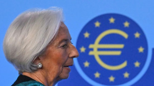 ECB warns of stronger euro impact, holds rates