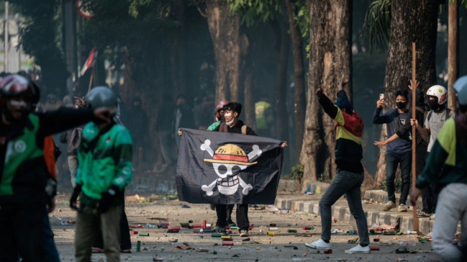 Hoist the jolly manga: Gen Z protesters rally to One Piece pirate flag