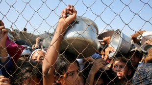 Gaza-Krieg: Forderungen an Bundesregierung nach mehr Druck auf Israel