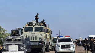 Syrie: Isra&euml;l bombarde les forces gouvernementales dans une ville druze