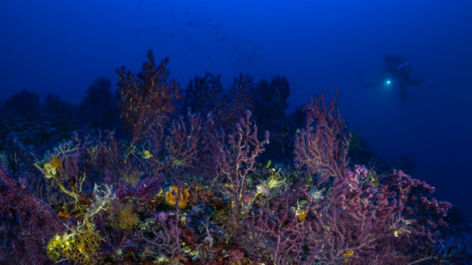 33 Staaten fordern "zumindest vorsorgliche Pause" f&uuml;r Tiefsee-Bergbau 