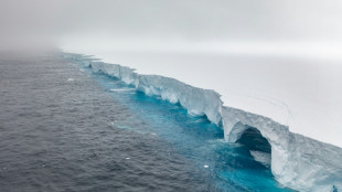 "Ce serait dramatique mais pas sans pr&eacute;c&eacute;dent": le plus grand iceberg au monde menace des manchots 